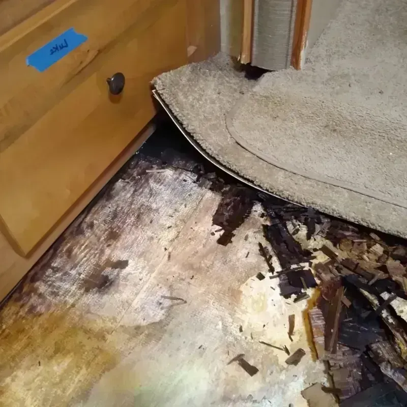 Best Wood Floor Water Damage Service in Fayette County, TX